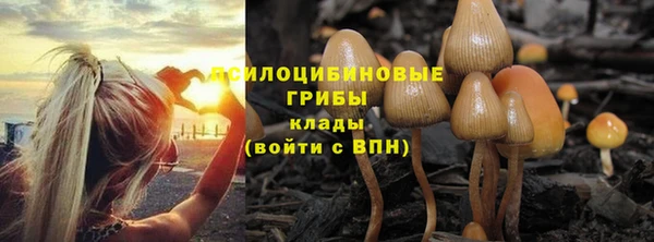 эйфоретик Алексеевка