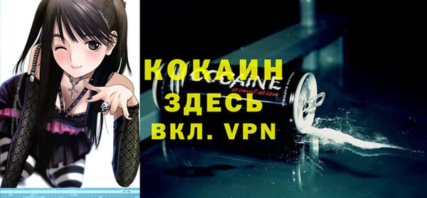 молекула духа Алексин