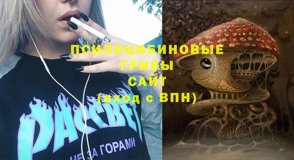 молекула духа Алексин
