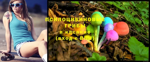 молекула духа Алексин
