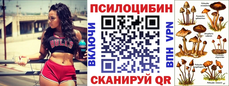 Купить закладки  Чишмы  Галлюциногенные грибы мухоморы 